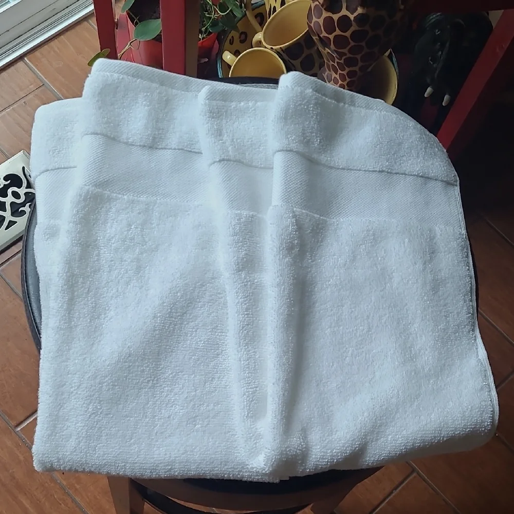 Ralph Lauren Hand Towels
